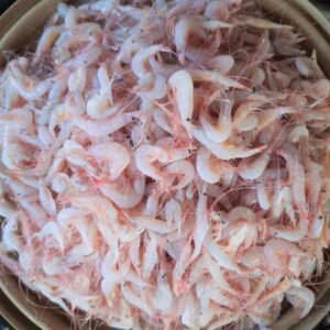 Prawns (Small Desi)