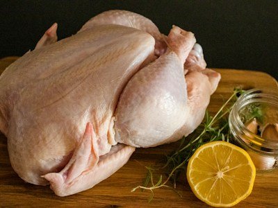 Fresh Chicken