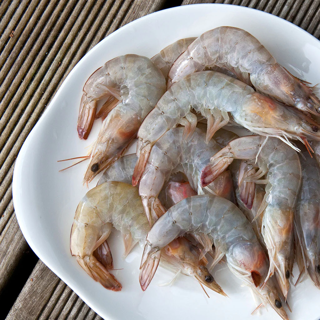 Prawns (Large)