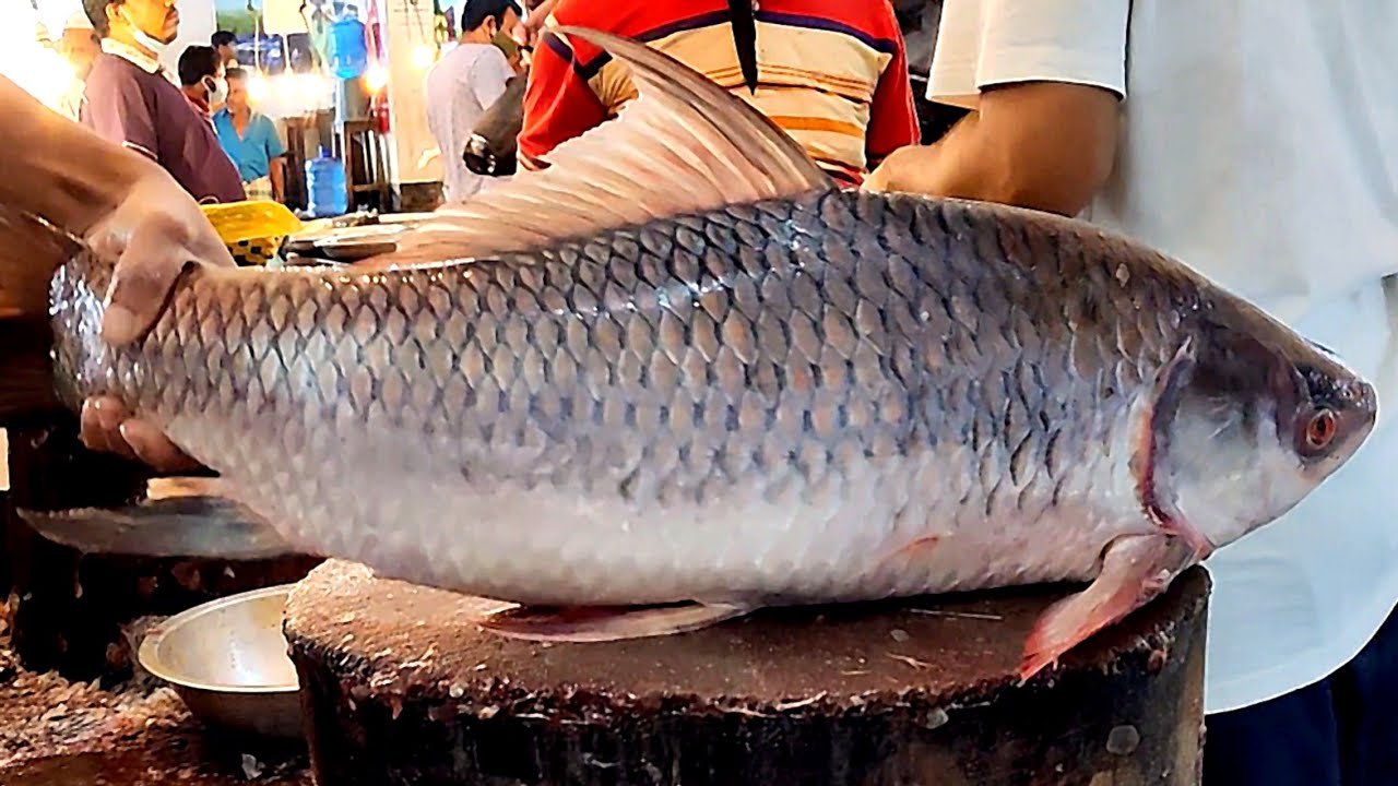 Fish (Rohu/Katla) - Normal